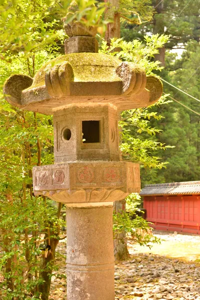 DSC_3851 (Large).JPG